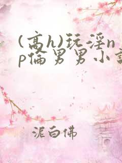 (高h)玩淫np伦男男小说