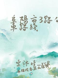 阜阳市3路公交车路线
