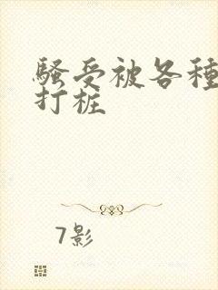 骚受被各种姿势打桩