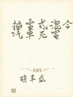 插电式混合动力汽车充电 插电式混合动力汽车充电