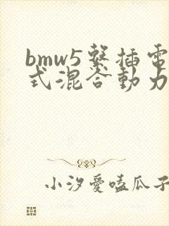 bmw5系插电式混合动力价格