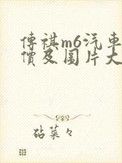 传祺m6汽车报价及图片大全