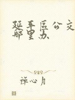 延平区公交卡在哪里办