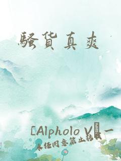 骚货真爽