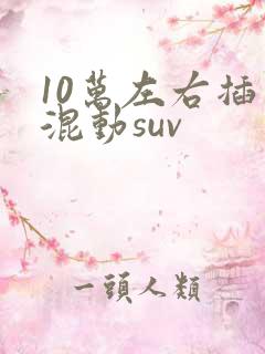 10万左右插电混动suv