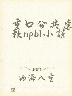 重口公共虐肉调教npbl小说