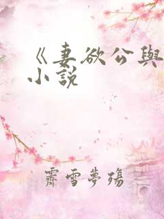 《妻欲公与媳》小说
