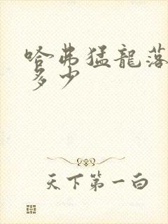 哈弗猛龙落地价多少