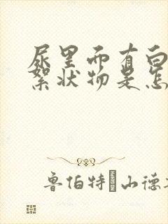 尿里面有白色的絮状物是怎么回事