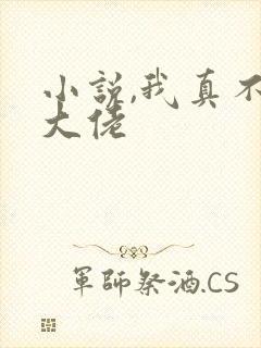 小说,我真不是大佬