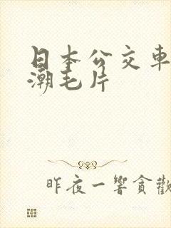 日本公交车上高潮毛片