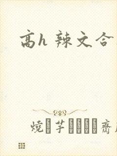 高h 辣文合集
