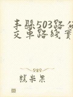 丰县503路公交车路线实时查询