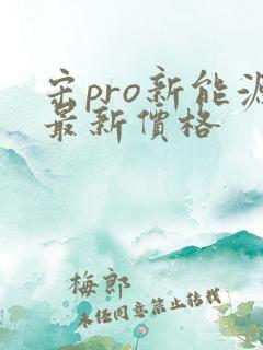 宋pro新能源最新价格