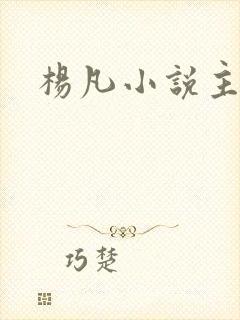 杨凡小说主角