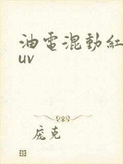 油电混动红旗suv