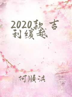2020款 吉利缤越