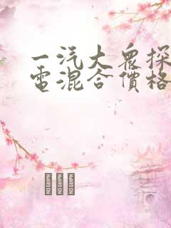 一汽大众探岳油电混合价格