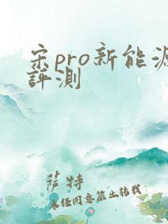 宋pro新能源评测