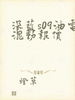 深蓝s09油电混动报价