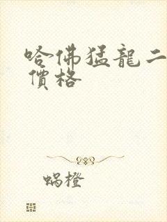 哈佛猛龙二手车价格