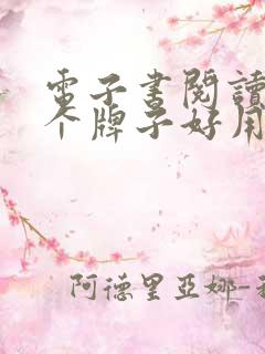 电子书阅读器哪个牌子好用
