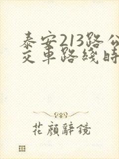 泰安213路公交车路线时间表
