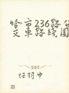 哈市236路公交车路线图