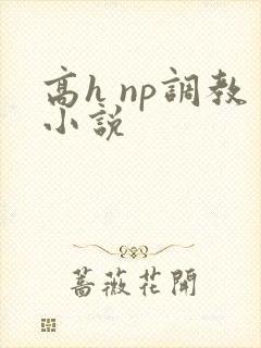 高h np调教小说 高h np调教小说