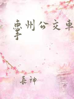 惠州公交车咸猪手