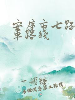 安庆市七路公交车路线