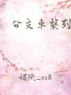公交车系列爽文