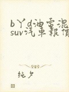 b丫d油电混合suv汽车报价乘 b丫d油电混合suv汽车报价乘
