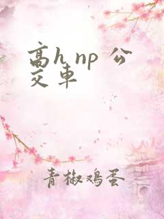 高h np 公交车