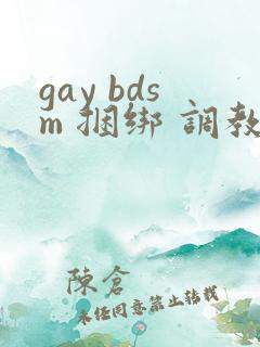 gay bdsm 捆绑 调教 男奴