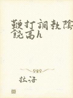 鞭打调教阴蒂求饶高h
