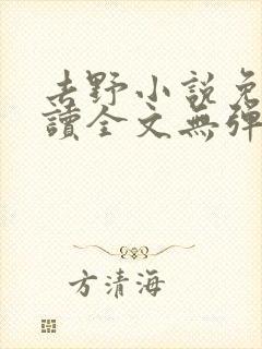 去野小说免费阅读全文无弹窗