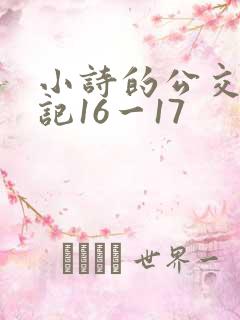 小诗的公交车日记16一17 小诗的公交车日记16一17