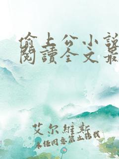 偷上公小说免费阅读全文最新章节