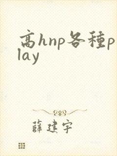 高hnp各种play