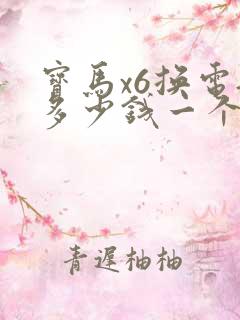 宝马x6换电瓶多少钱一个