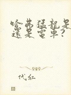 哈弗猛龙是油车还是电车?