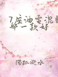 7座油电混动车哪一款好