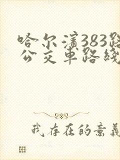 哈尔滨383路公交车路线图