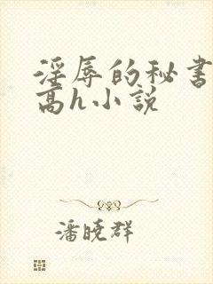 淫辱的秘书调教高h小说