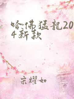哈佛猛龙2024新款