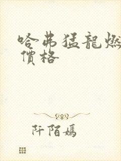 哈弗猛龙燃油版价格