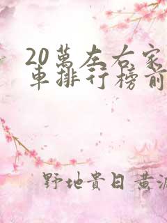 20万左右家用车排行榜前十名