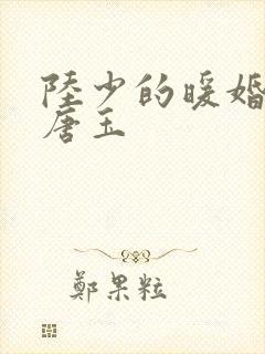陆少的暖婚新妻唐玉 陆少的暖婚新妻唐玉