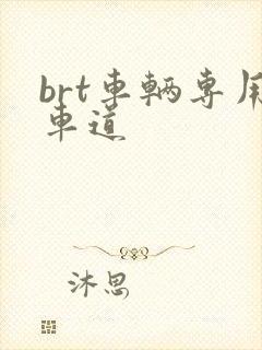 brt车辆专用车道 brt车辆专用车道